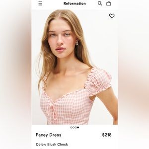 NWT Reformation Pacey Dress Size 4 in Blush Check